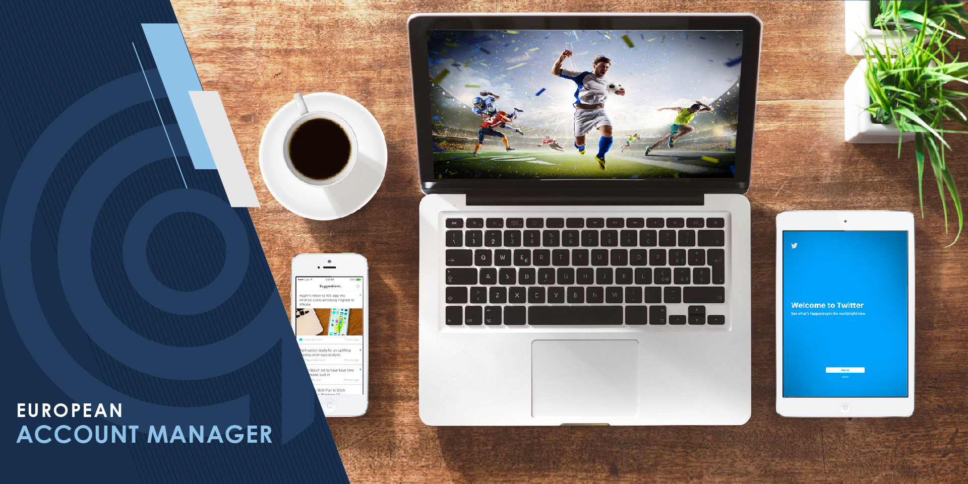 Job Description Lead Digital Consultant Samba Digital