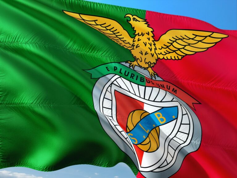 Benfica added to Socios partnership portfolio